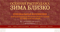 Desktop Screenshot of 1000kamin.ru